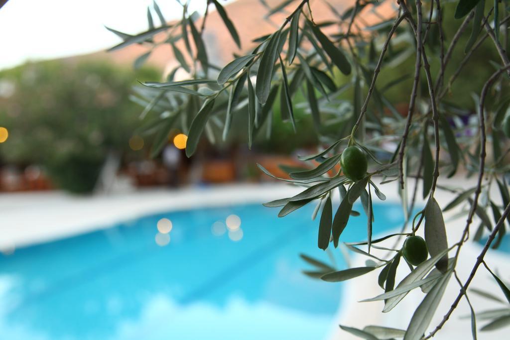 Gokcen Hotel Ölüdeniz