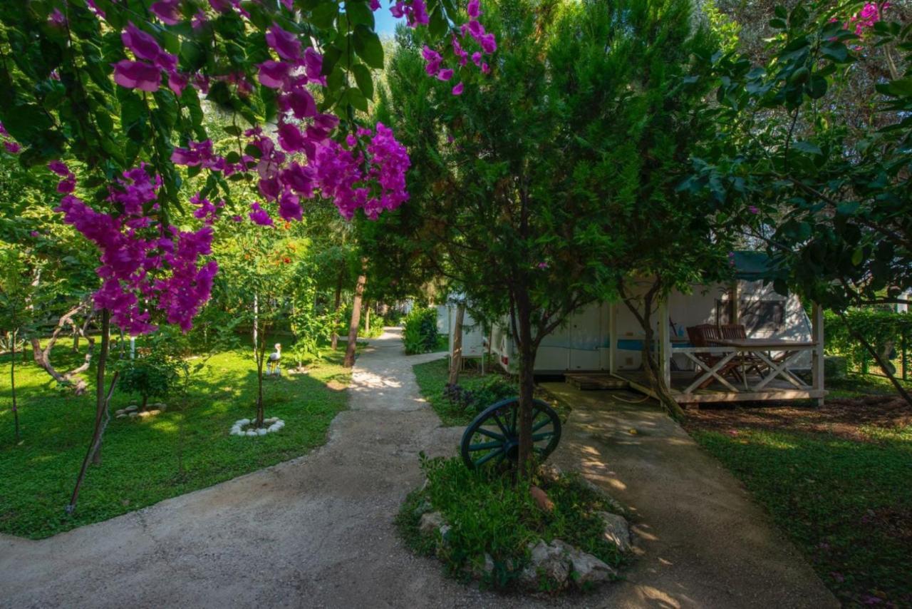 S3 Seahorse Club Otel Ölüdeniz