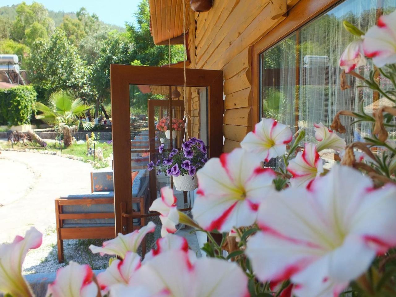 Utopia Hotel