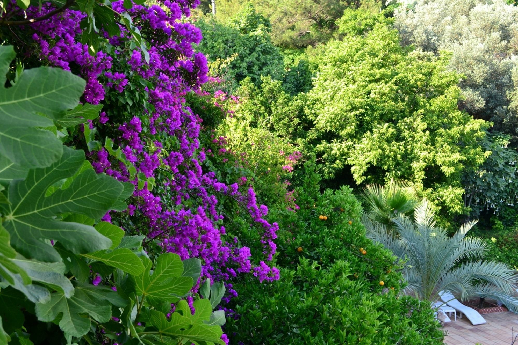 Hotel Paradise Garden Oludeniz