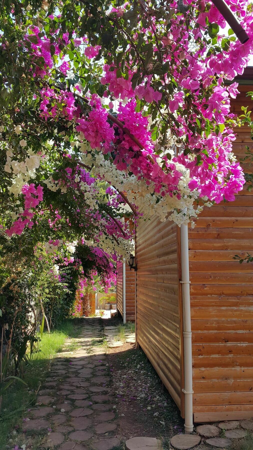 Kabak Armes Otel 3*