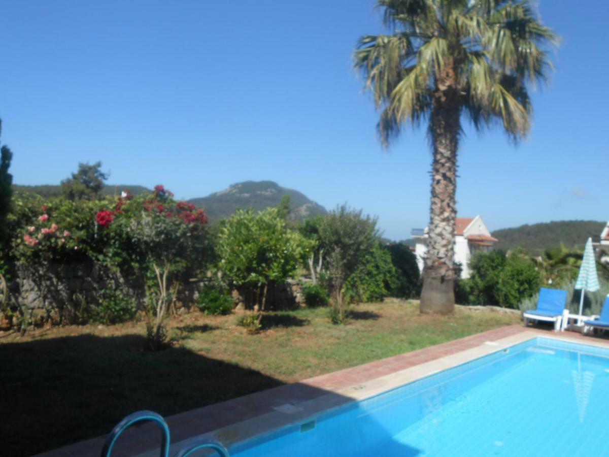 Dolphin Ovacik Oludeniz