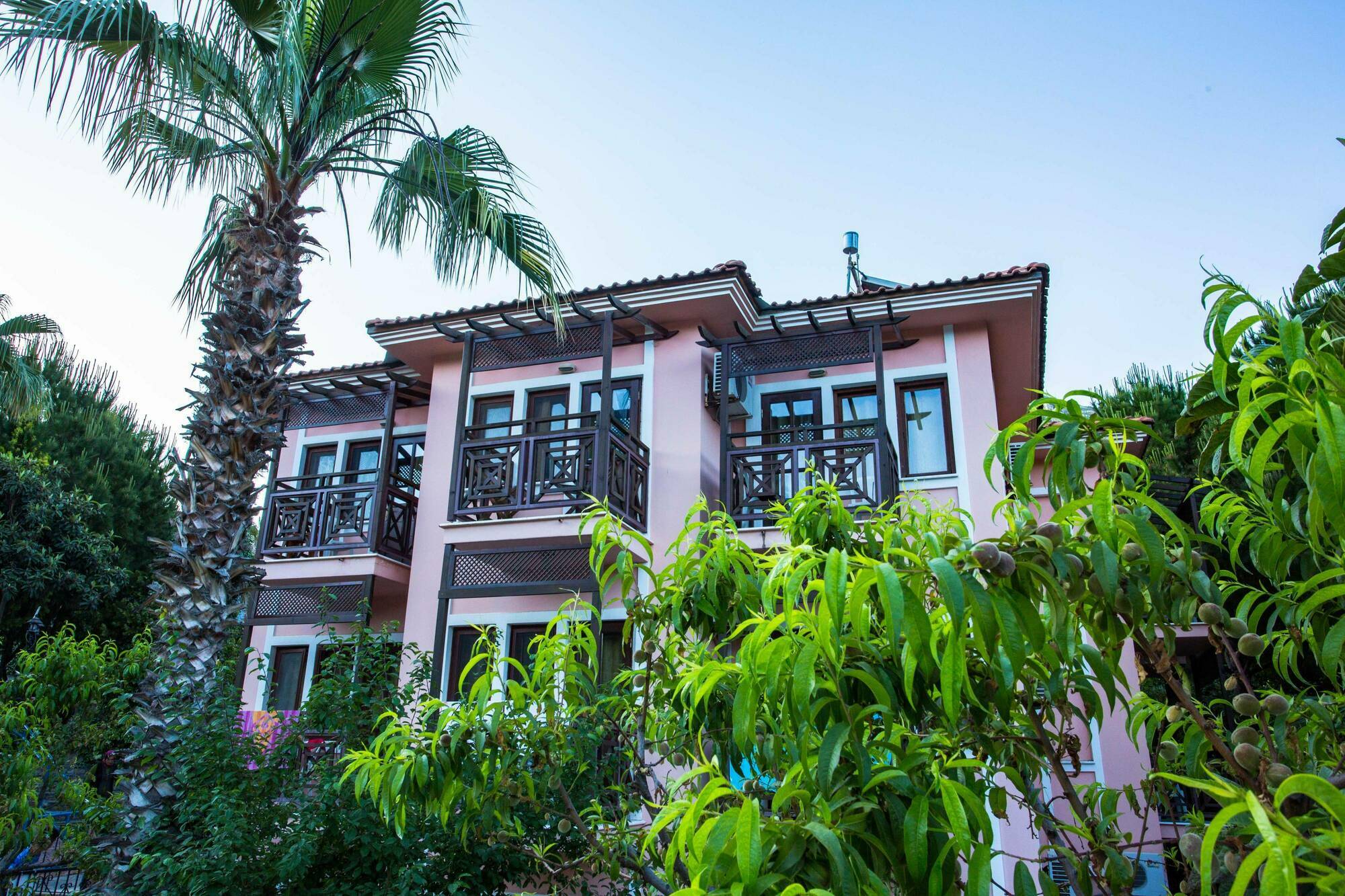 Hotel Club Pink Palace 3*