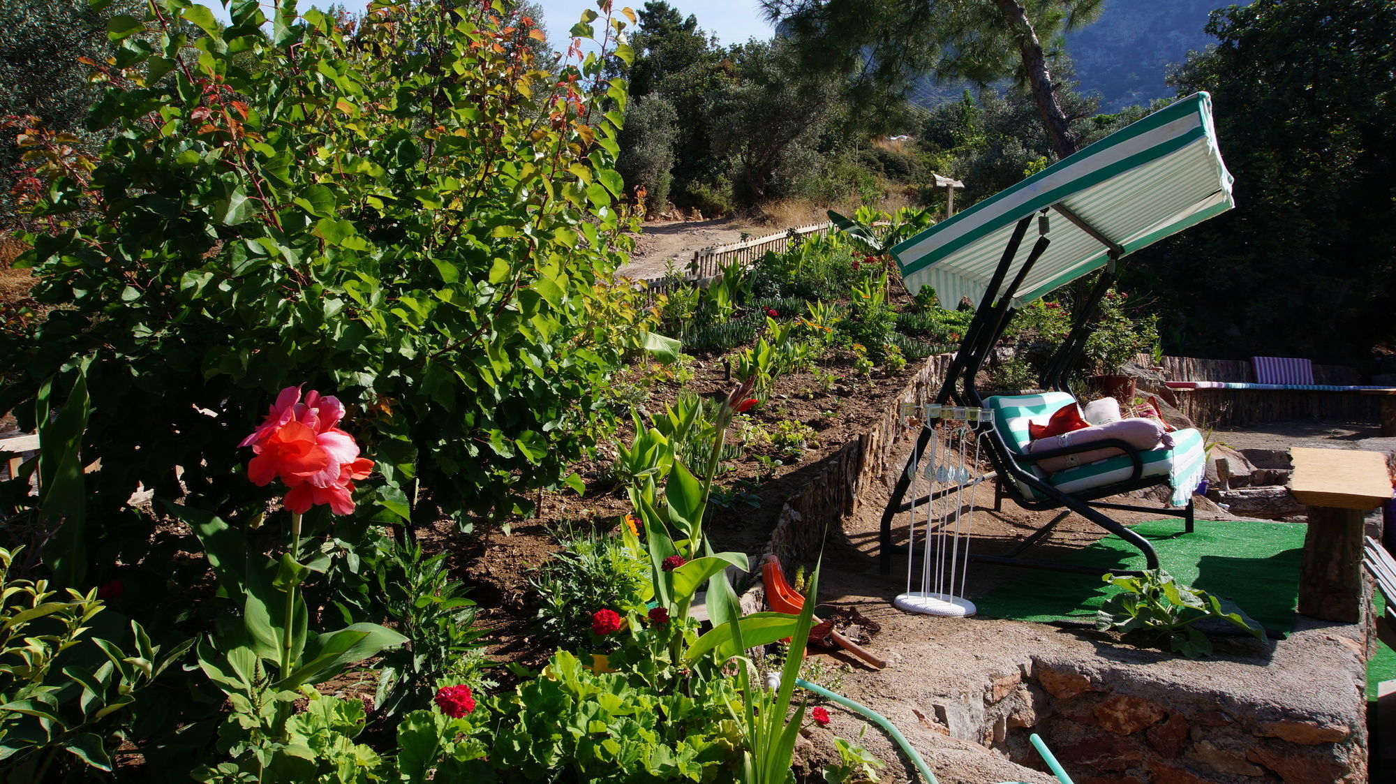 Hotel Shiva Camp 3*