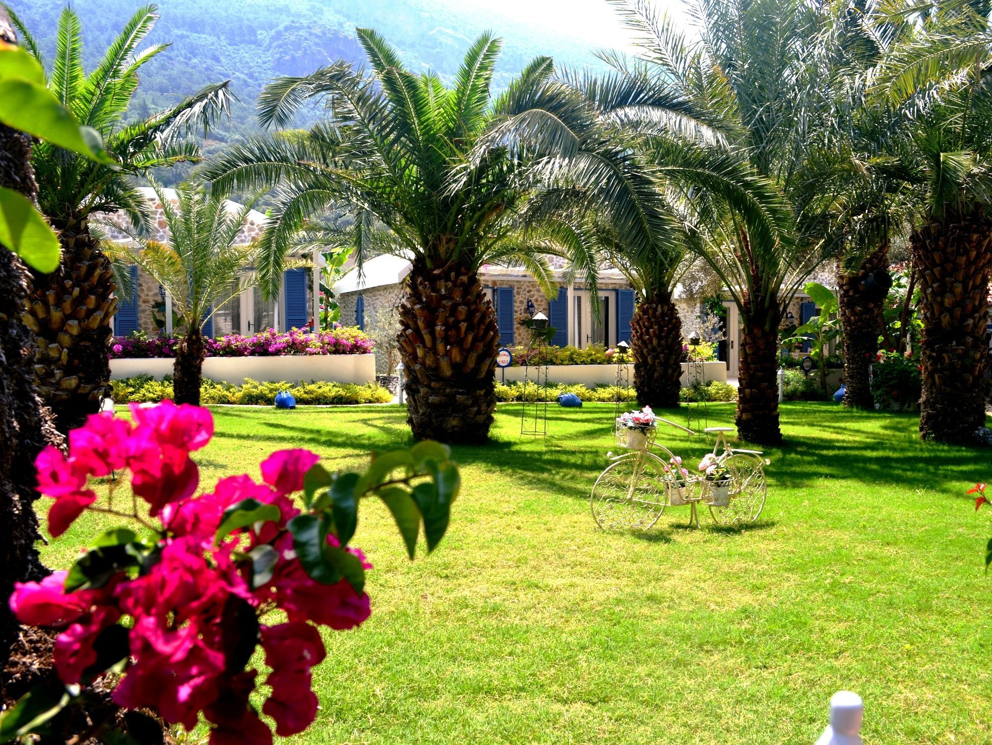 Flamingo & - Pet Friendly 3* Oludeniz
