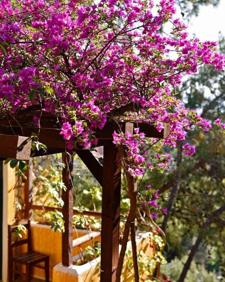 Hotel Symbola Oludeniz