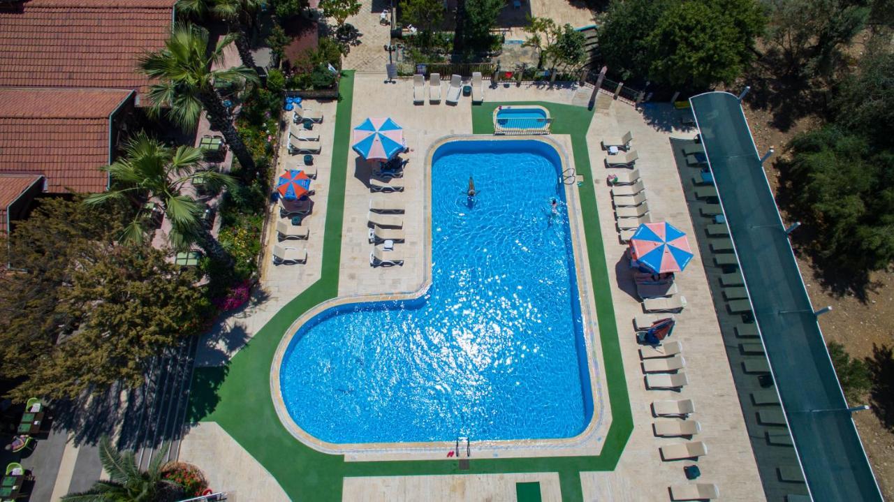 Club Pink Palace 3*