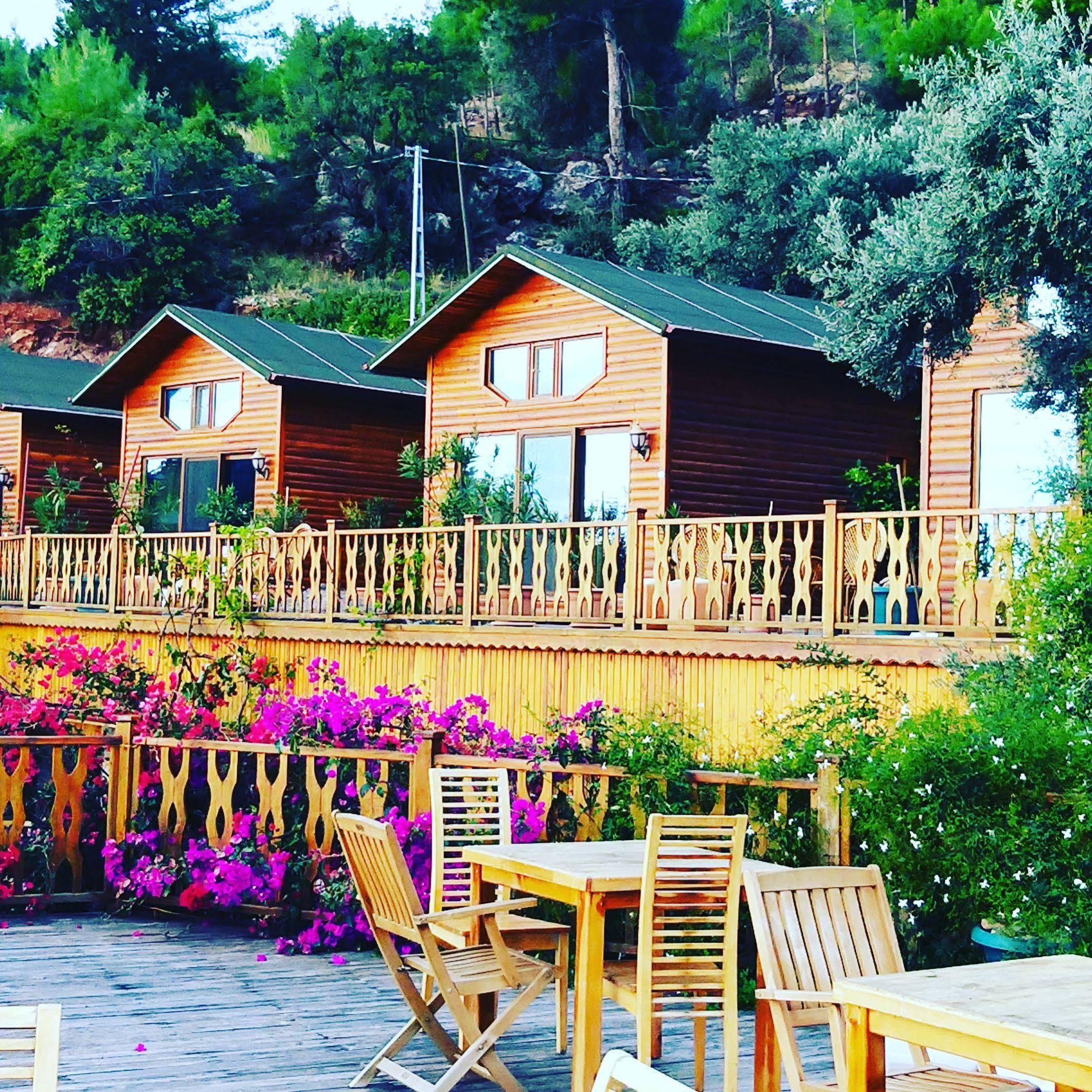 Otel Kabak Armes Faralya