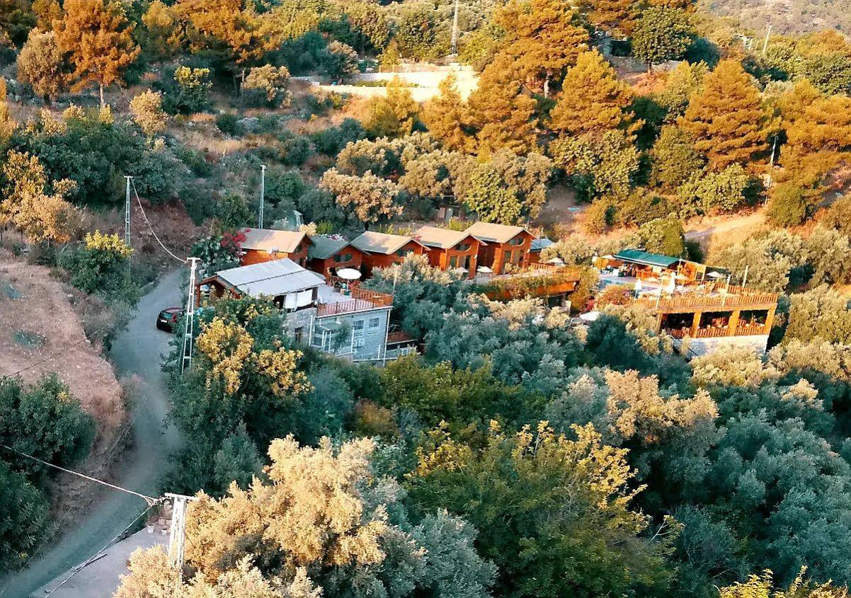 Kabak Armes Otel 3*