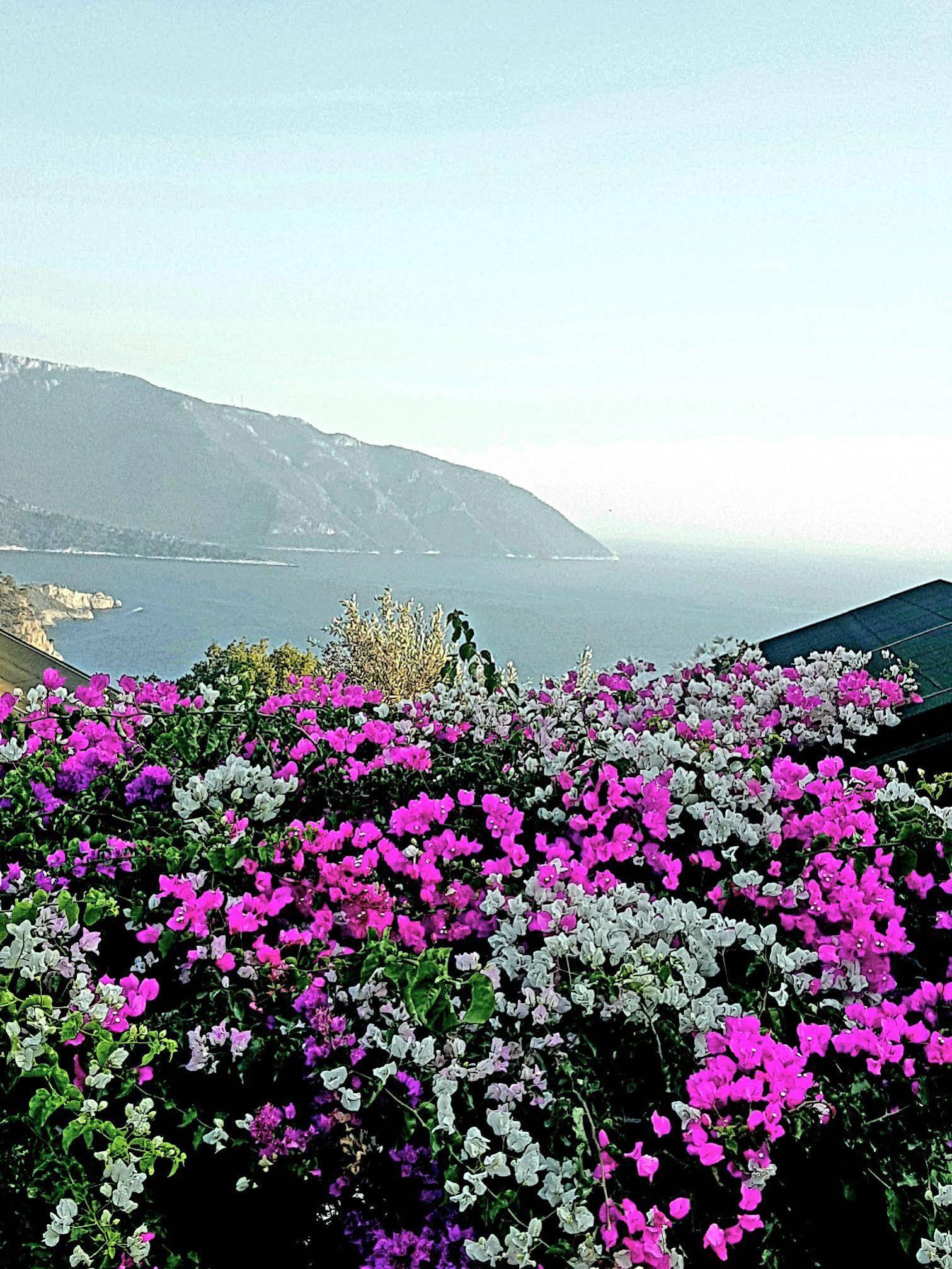 Otel Kabak Armes Faralya