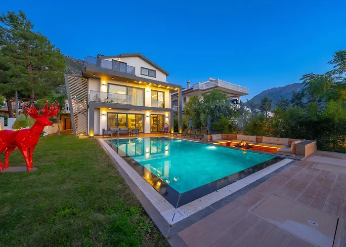 Villa Dinyeper