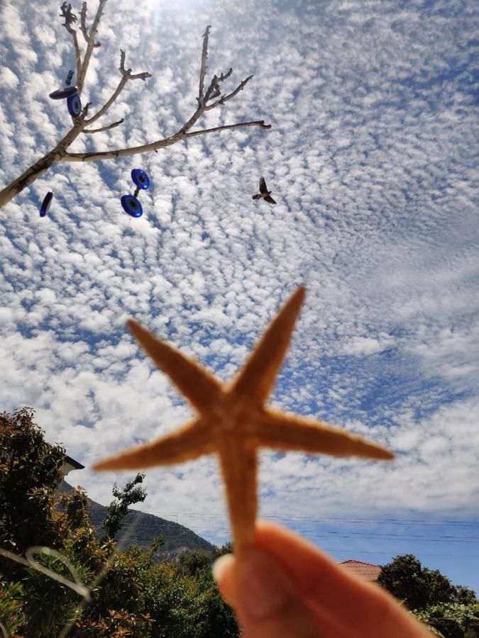 Cc's Butik Oludeniz