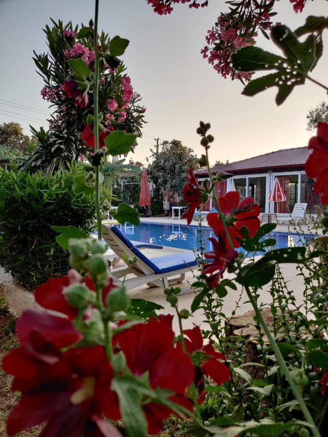 Cc's Butik Guest house