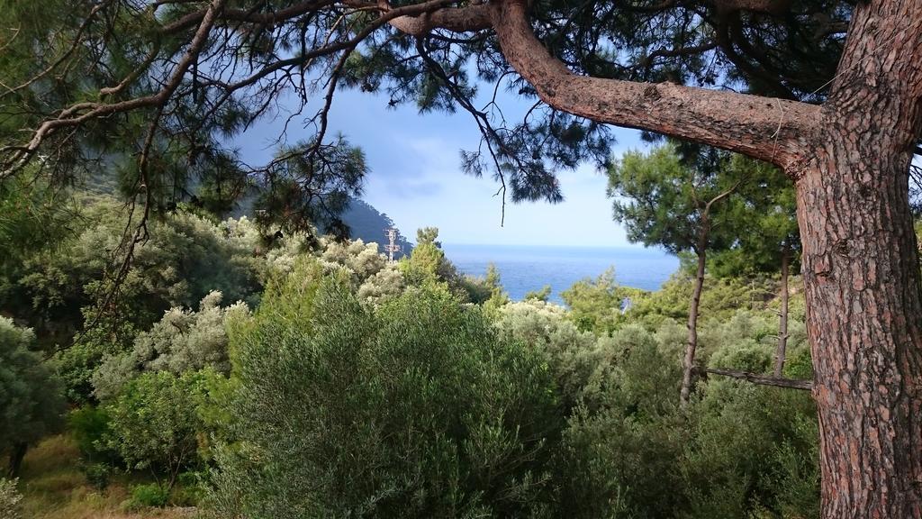 Campsite Yerdeniz Kamp Oludeniz