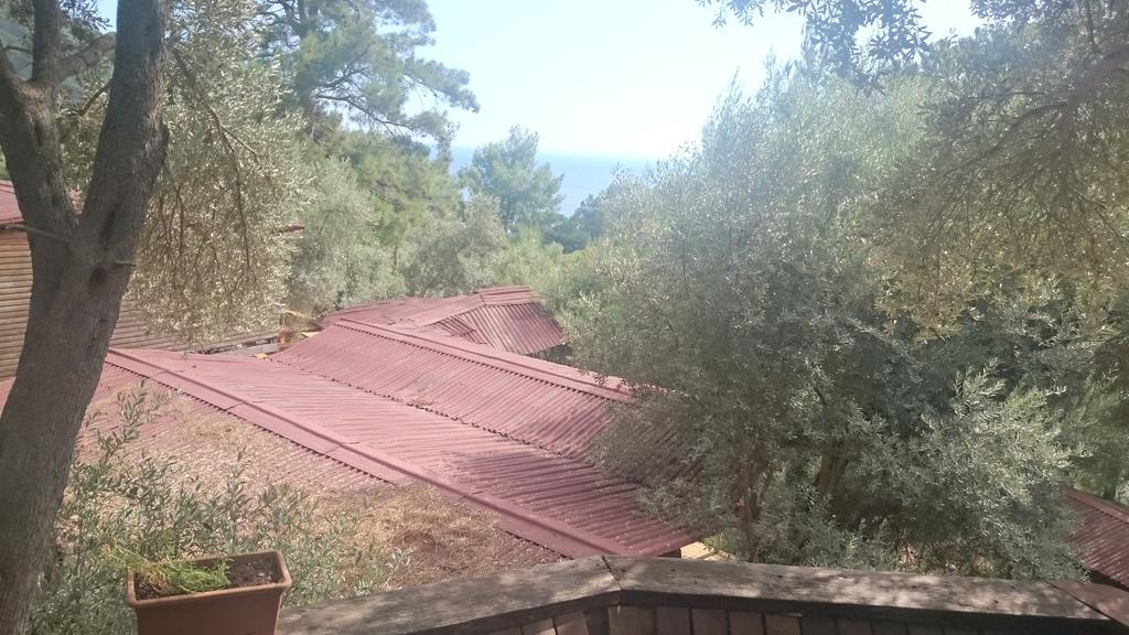 Yerdeniz Kamp Campsite