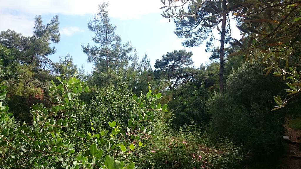 Campsite Yerdeniz Kamp Oludeniz