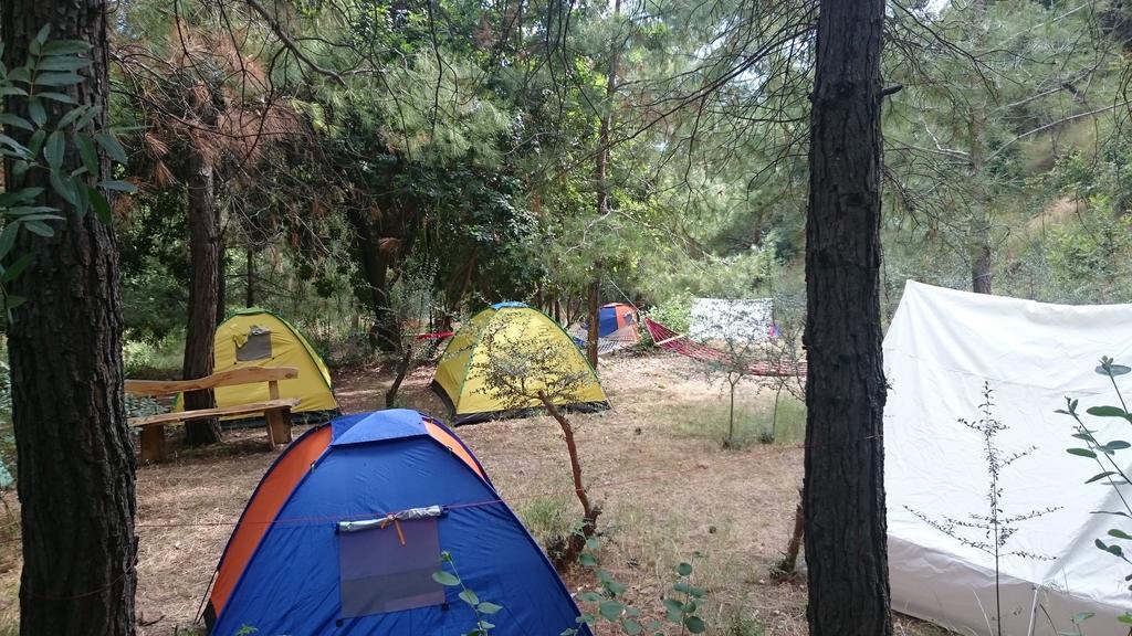 Yerdeniz Kamp