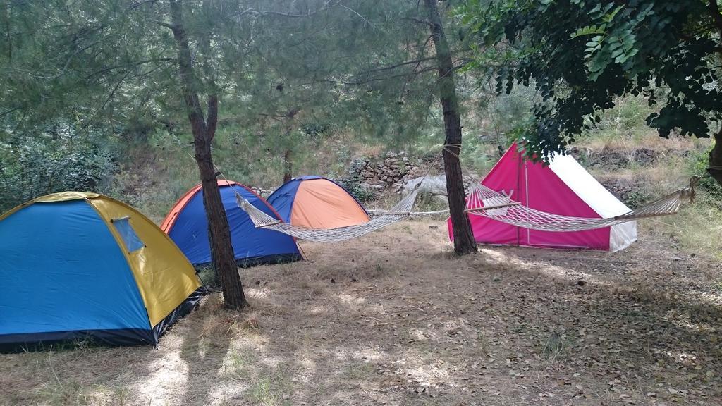 Yerdeniz Kamp *
