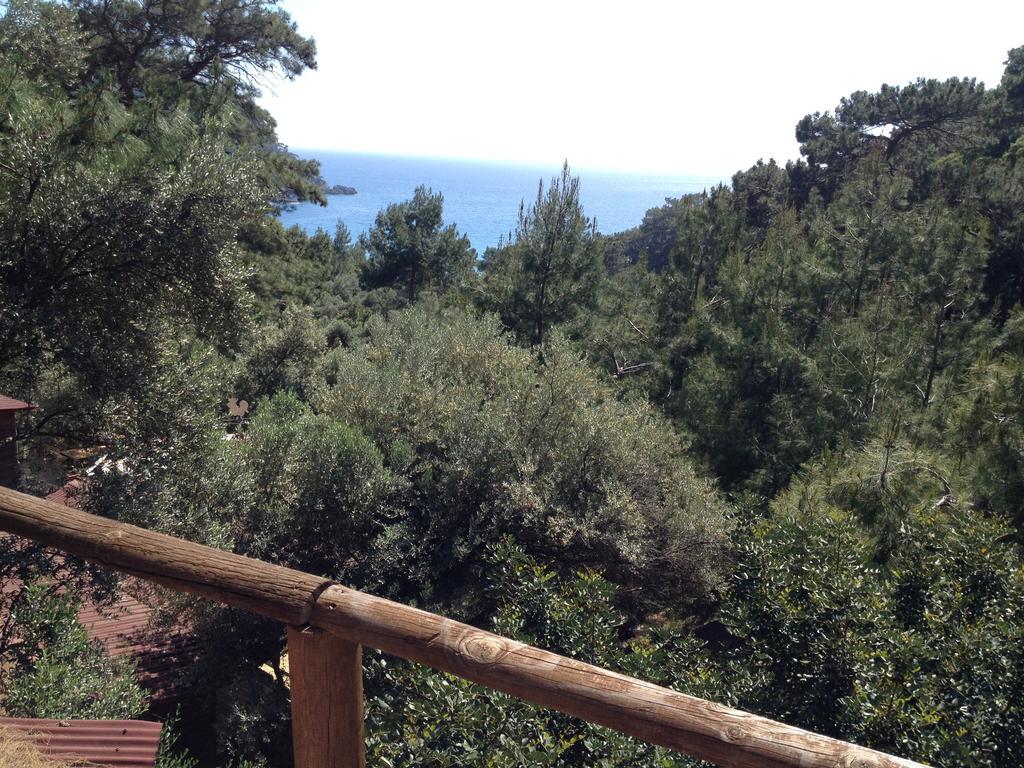Yerdeniz Kamp *