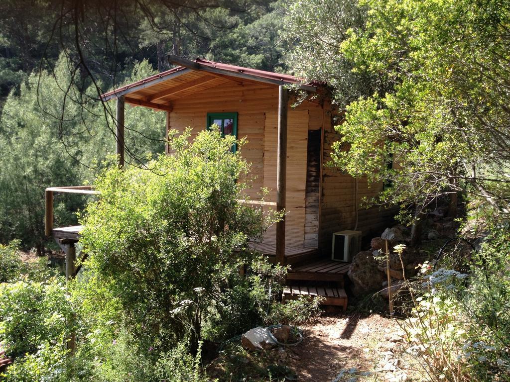 Yerdeniz Kamp
