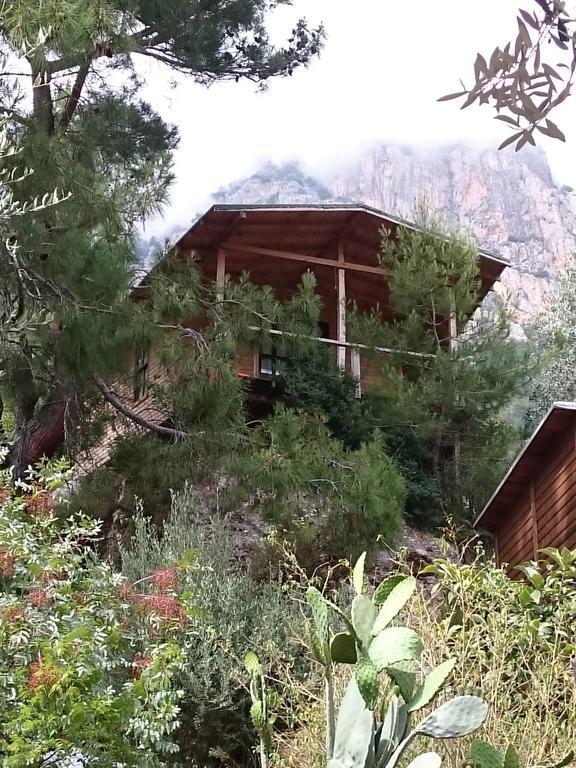 Campsite Yerdeniz Kamp