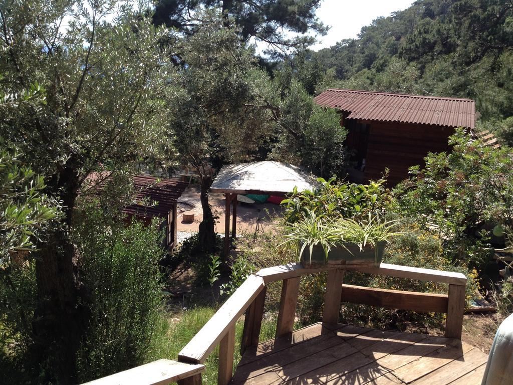 Yerdeniz Kamp Campsite