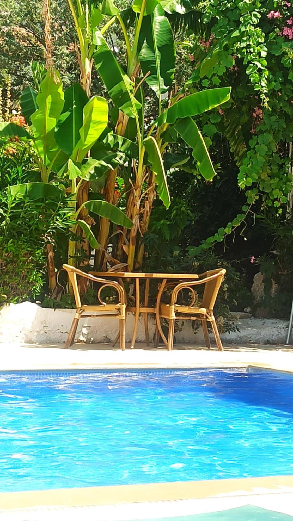 Guest house Cc's Butik Oludeniz