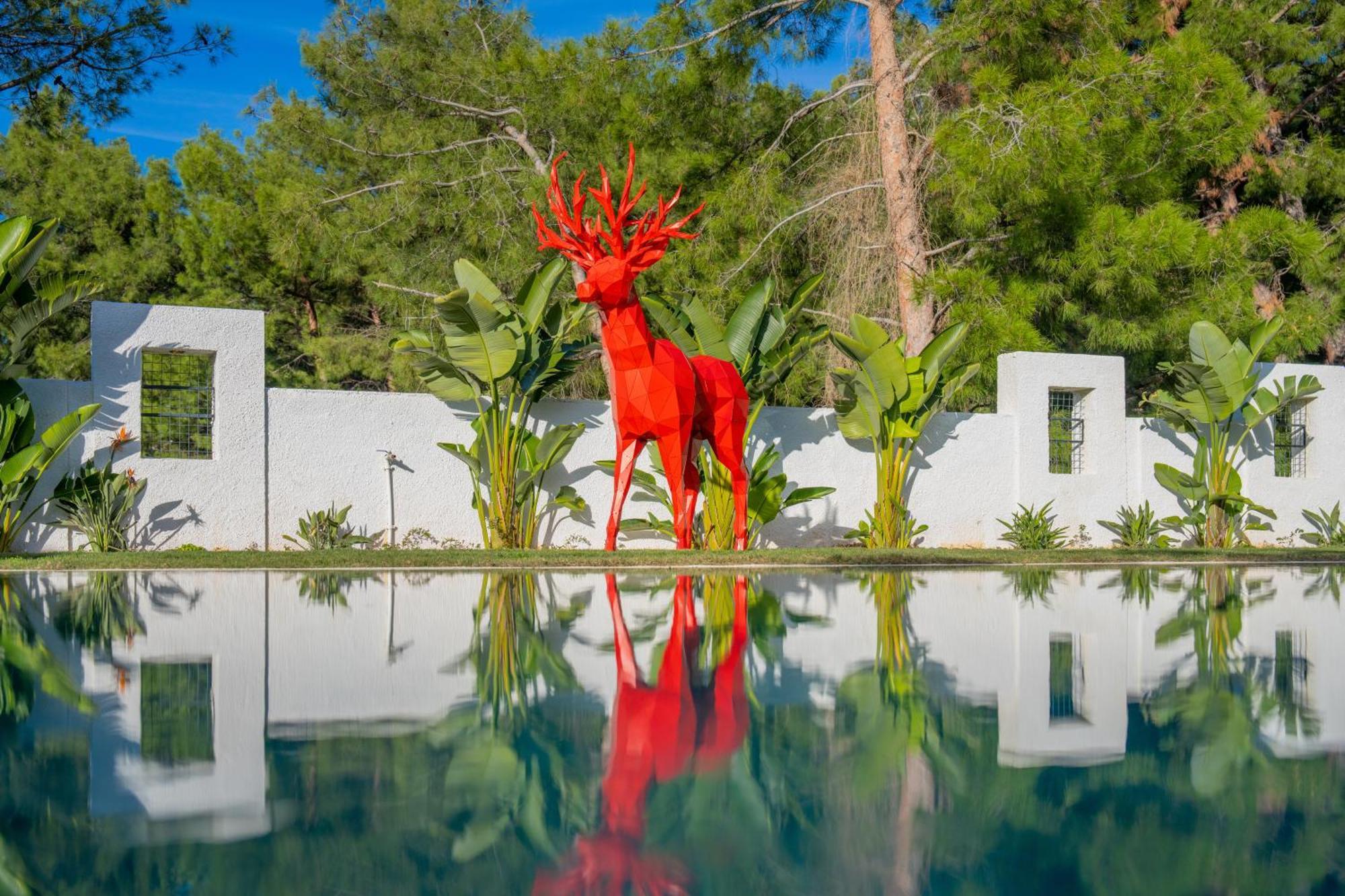 Villa Dinyeper Oludeniz