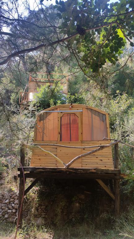 Yerdeniz Kamp