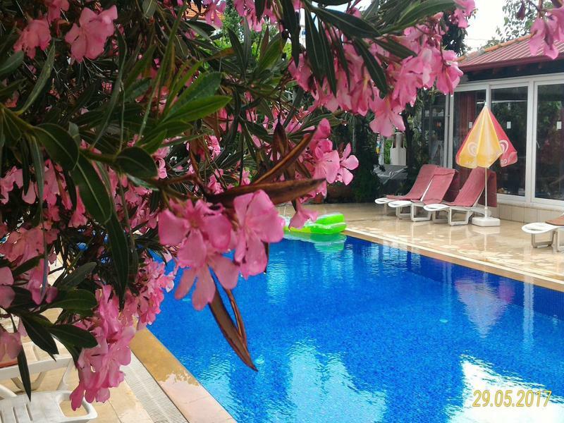 Cc's Butik Oludeniz